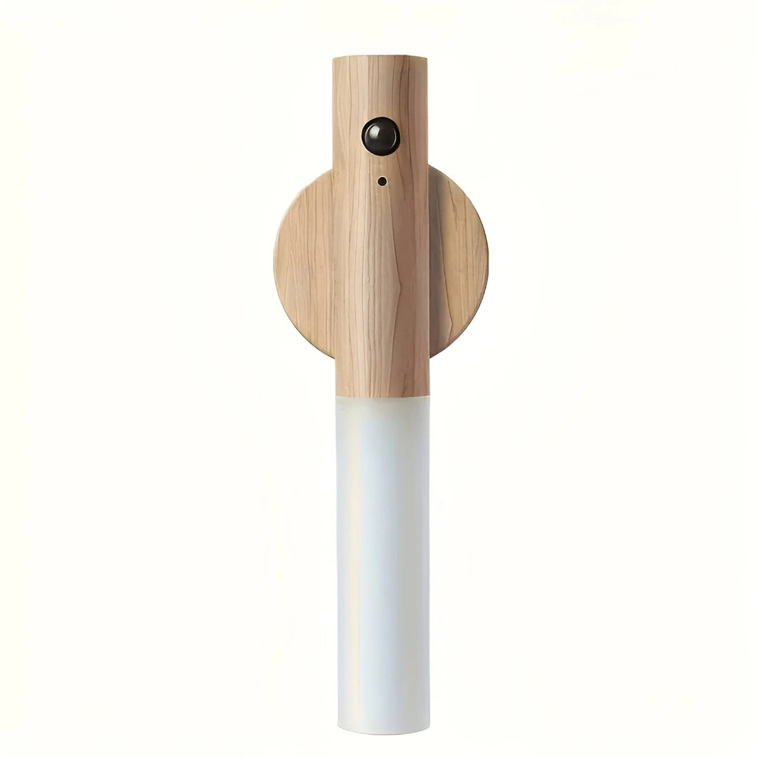 INDUCTION LAMP LIGHT | Auto Motion Lighting
