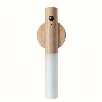 INDUCTION LAMP LIGHT | Auto Motion Lighting